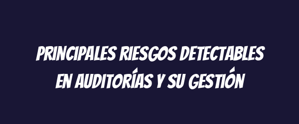 Principales riesgos detectables en auditorías y su gestión Principales riesgos detectables en auditorías y su gestión