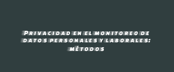 Privacidad en el monitoreo de datos personales y laborales: métodos