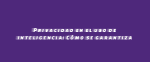 Privacidad en el uso de inteligencia: Cómo se garantiza