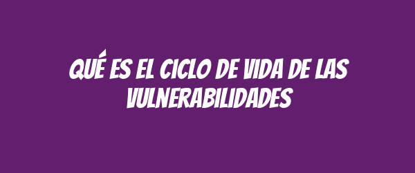 Qué es el ciclo de vida de las vulnerabilidades
