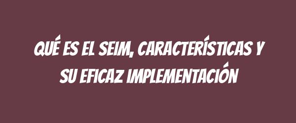 Qué es el SEIM, características y su eficaz implementación Qué es el SEIM, características y su eficaz implementación