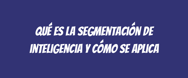 Qué es la segmentación de inteligencia y cómo se aplica