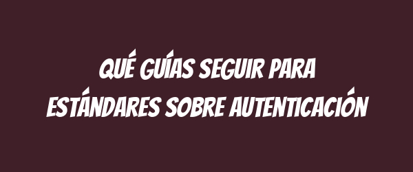 Qué guías seguir para estándares sobre autenticación Qué guías seguir para estándares sobre autenticación