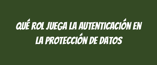 Qué rol juega la autenticación en la protección de datos