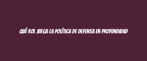 Qué rol juega la Política de Defensa en Profundidad