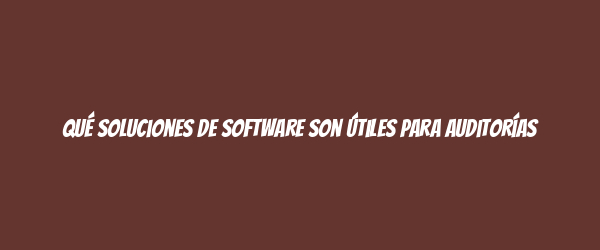 Qué soluciones de software son útiles para auditorías Qué soluciones de software son útiles para auditorías