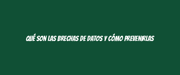Qué son las brechas de datos y cómo prevenirlas Qué son las brechas de datos y cómo prevenirlas