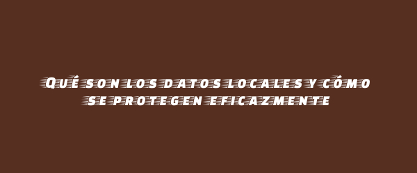 Qué son los datos locales y cómo se protegen eficazmente