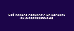 Qué tareas asignar a un experto en ciberseguridad