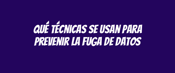 Qué técnicas se usan para prevenir la fuga de datos