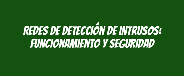 Redes de detección de intrusos: funcionamiento y seguridad
