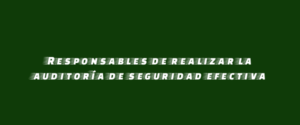 Responsables de realizar la auditoría de seguridad efectiva