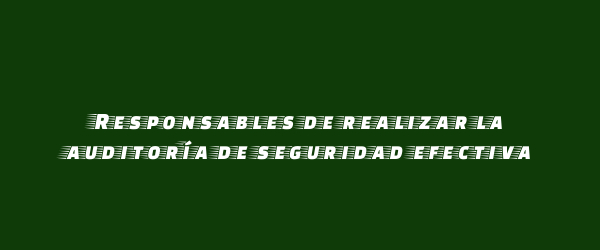 Responsables de realizar la auditoría de seguridad efectiva