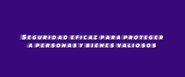 Seguridad eficaz para proteger a personas y bienes valiosos Seguridad eficaz para proteger a personas y bienes valiosos