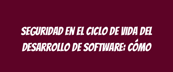 Seguridad en el ciclo de vida del desarrollo de software: cómo