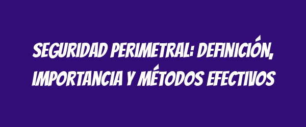 Seguridad perimetral: definición, importancia y métodos efectivos Seguridad perimetral: definición, importancia y métodos efectivos