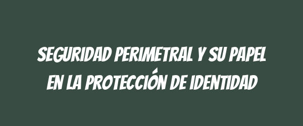 Seguridad perimetral y su papel en la protección de identidad
